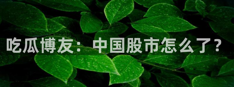 51吃瓜网 张津瑜:吃瓜博友:中国股市怎么了?
