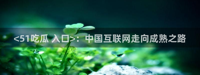 51全网更新最快最全的吃瓜网:<51吃瓜 入口>:中国互联网走向成熟之路