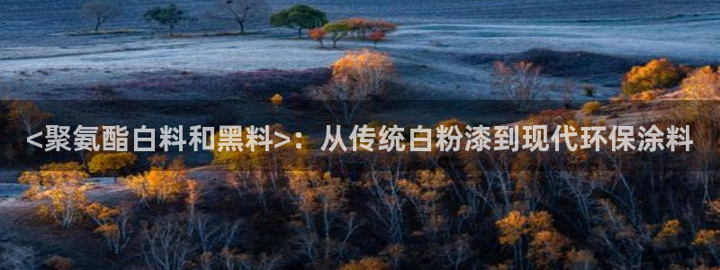 1吃瓜:<聚氨酯白料和黑料>:从传统白粉漆到现代环保涂料