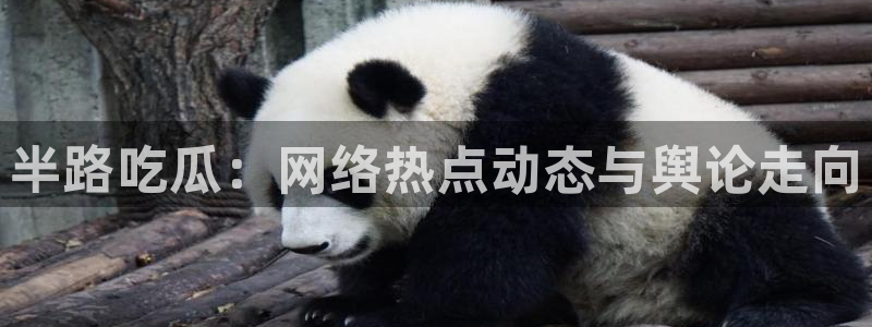 51.cgfun吃瓜:半路吃瓜:网络热点动态与舆论走向