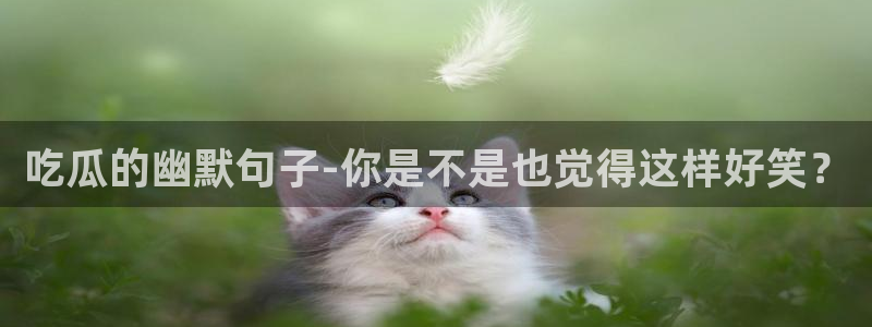 吃瓜下载:吃瓜的幽默句子-你是不是也觉得这样好笑?