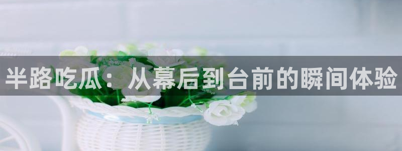 吃瓜发现我家皆大佬:半路吃瓜:从幕后到台前的瞬间体验