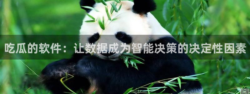 废太子在七零吃瓜看戏:吃瓜的软件:让数据成为智能决策的决定性因素