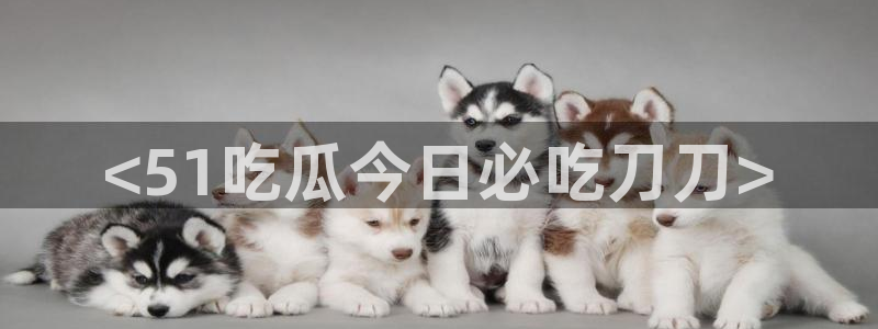 废太子在七零吃瓜看戏:<51吃瓜今日必吃刀刀>