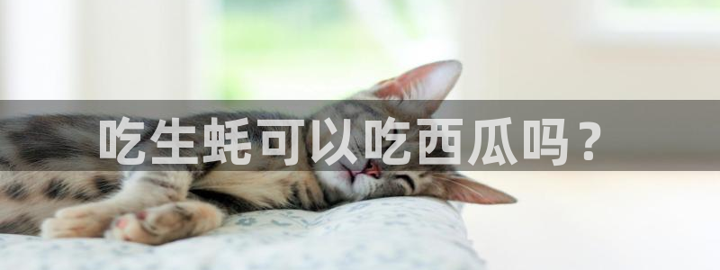 51吃瓜备用线路:吃生蚝可以吃西瓜吗?