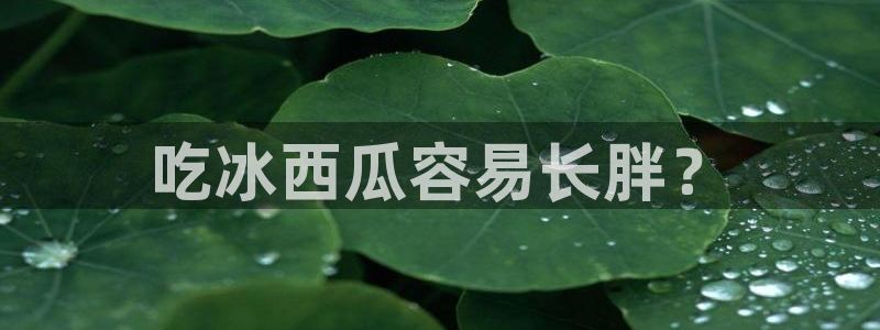 黑料,:吃冰西瓜容易长胖?