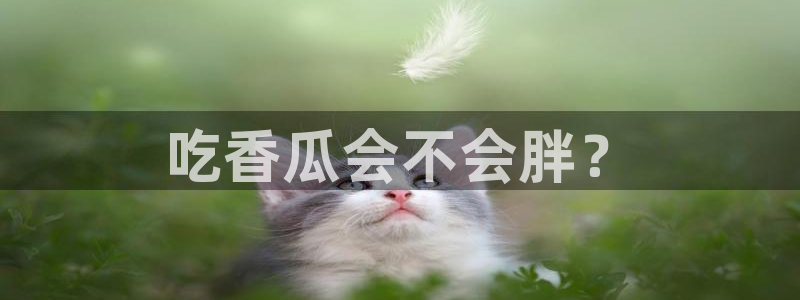 八月瓜尽量少吃的原因:吃香瓜会不会胖?