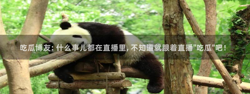 吃瓜新闻:吃瓜博友: 什么事儿都在直播里, 不知道就跟着直播\