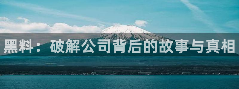 58吃瓜今日吃瓜入口:黑料:破解公司背后的故事与真相