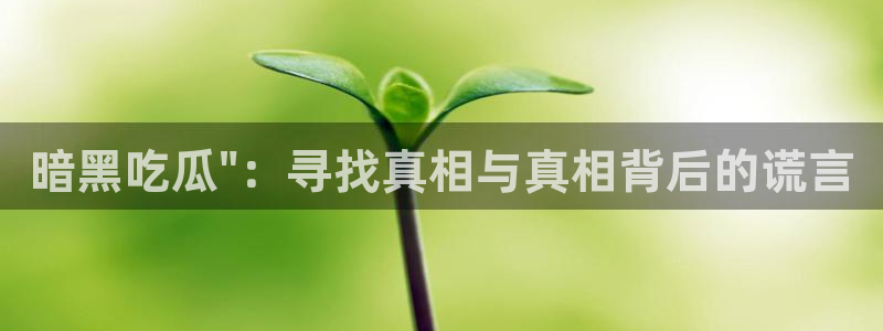 各种网红爆料吃瓜:暗黑吃瓜\