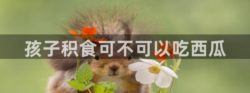 吃瓜下载:孩子积食可不可以吃西瓜