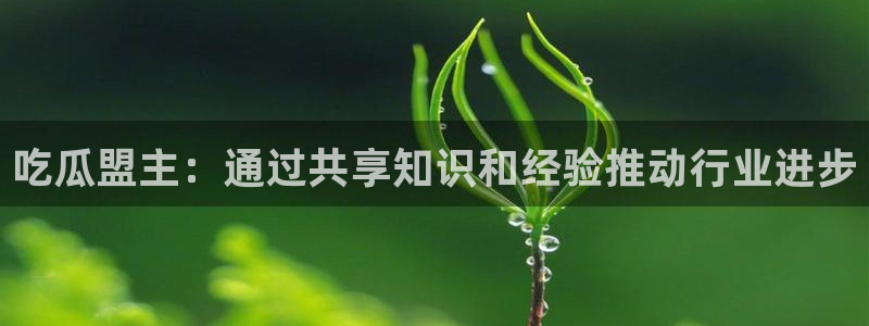24小时吃瓜不间断:吃瓜盟主:通过共享知识和经验推动行业进步