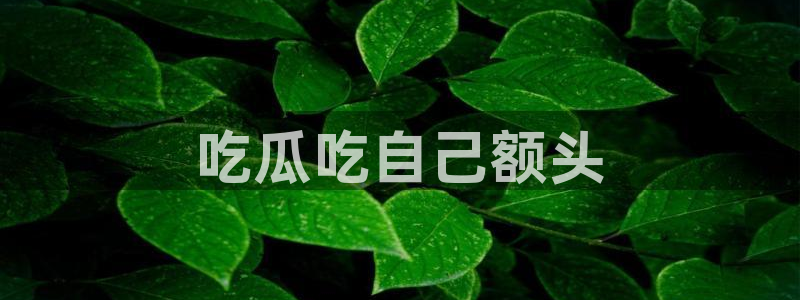 吃瓜下载:吃瓜吃自己额头