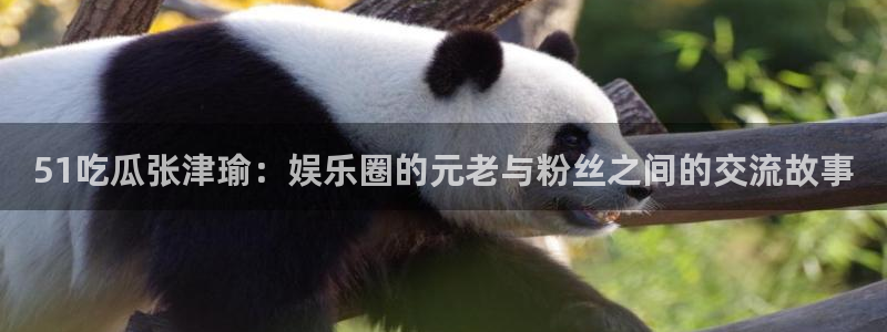 www.吃瓜.com:51吃瓜张津瑜:娱乐圈的元老与粉丝之间的交流故事