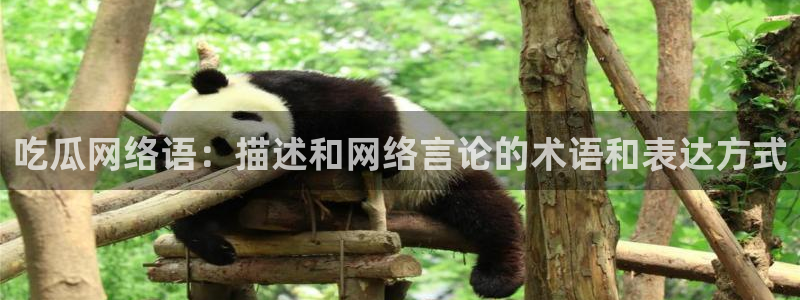 吃瓜吃到自己头上:吃瓜网络语:描述和网络言论的术语和表达方式