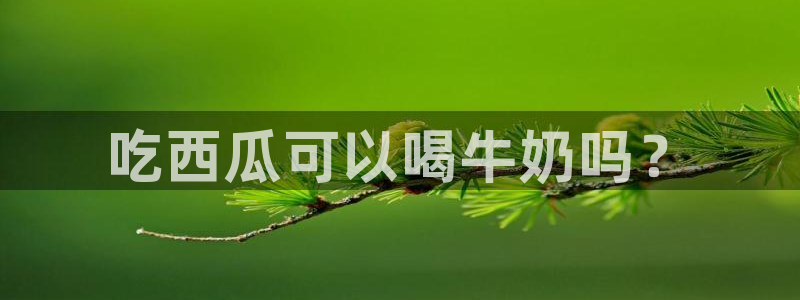 吊瓜树的瓜可以吃吗:吃西瓜可以喝牛奶吗?