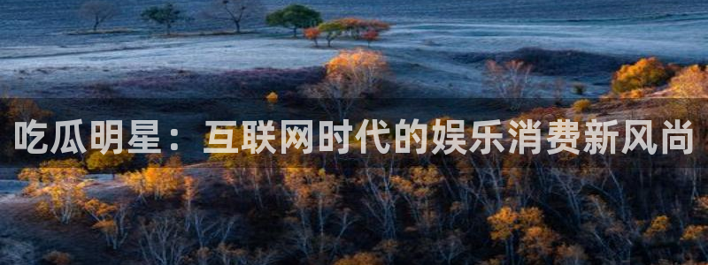 吃瓜事件:吃瓜明星:互联网时代的娱乐消费新风尚